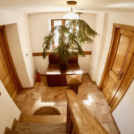 4lander House Balins Clauzetto
